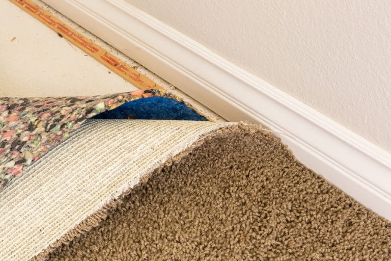 Basement Carpet: How to Choose the Best Carpets for Basements